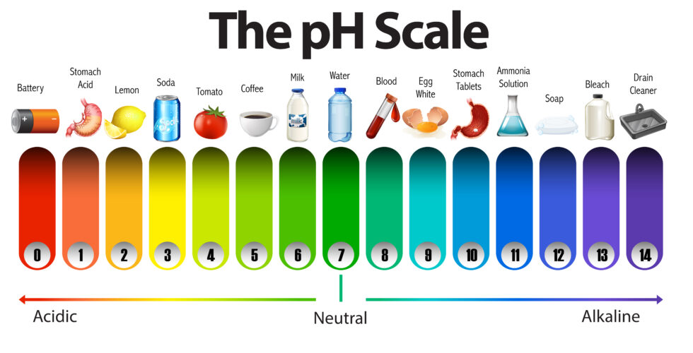 pH scale, alkaline water